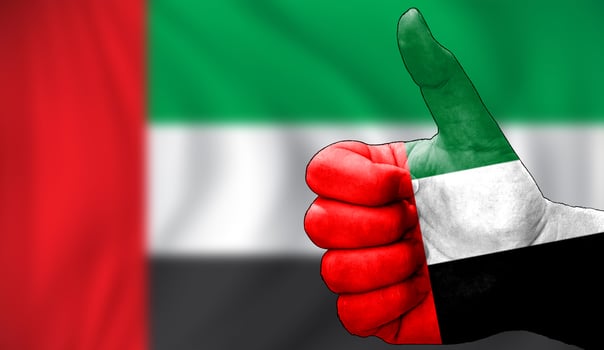 thumbs up in approval with the United arab emirates flag painted, photo