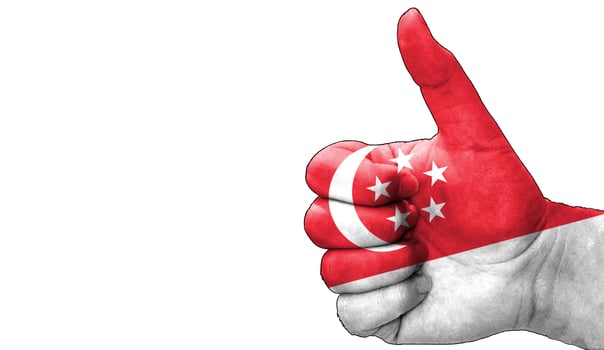thumbs up in approval with the Singaporean flag painted photo