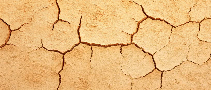 A dry, cracked earth surface showcasing the impact of drought and climate change. photo