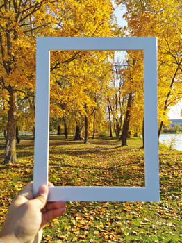 Framed Golden Autumn Park Scene with Yellow Leaves, fall moments photo