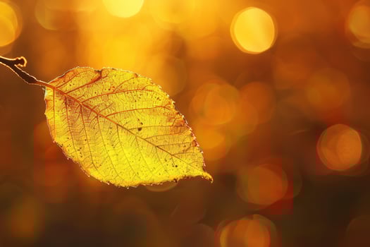 Autumn leaf with golden bokeh photo