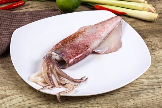 Raw fresh squid for cooking photo