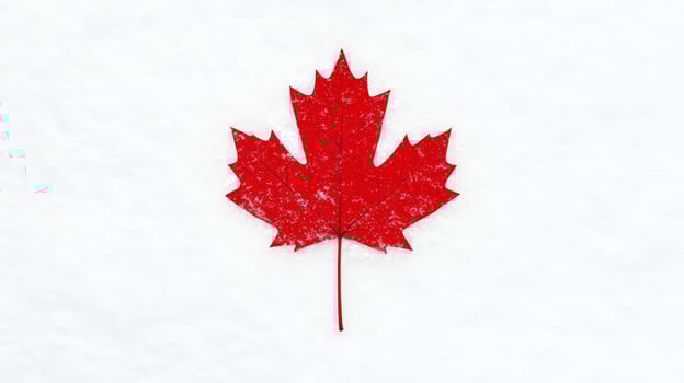 Red Maple Leaf for Canadian Winter Theme. photo
