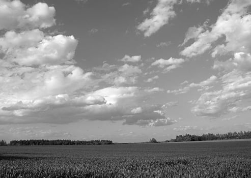 Breathtaking Cumulus Clouds Over a Vibrant Grassland Scene with People Exploring Nature photo