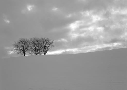 Majestic Snow-Capped Slopes Beneath a Cumulus Sky photo