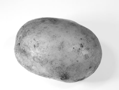 Fresh Yukon Gold Potatoes A Staple Natural Ingredient for Healthy Cooking photo