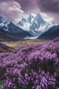 Stunning purple flower field with mountains and dramatic sky in the background photo