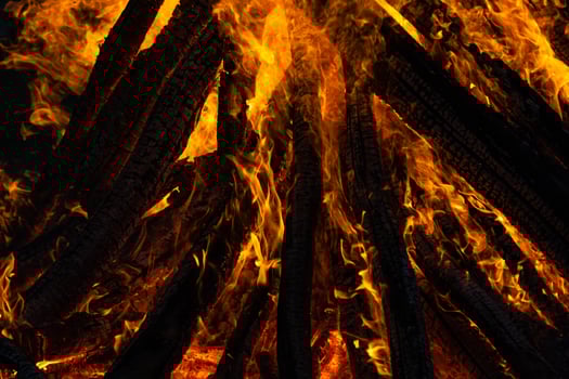 Beautiful fire flames on a campfire photo