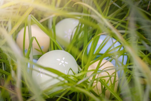 Easter eggs in the grass. photo