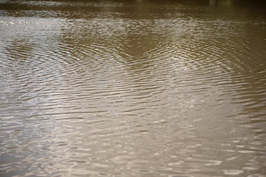 Water surface. A pond in the forest. photo