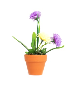 A pot with artificial flowers of purple and yellow chrysanthemums on a white background, isolate photo