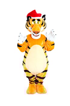 Orange plush new year tiger with red santa claus hat on his head, white background, isolate. Christmas and New Year 2022 photo