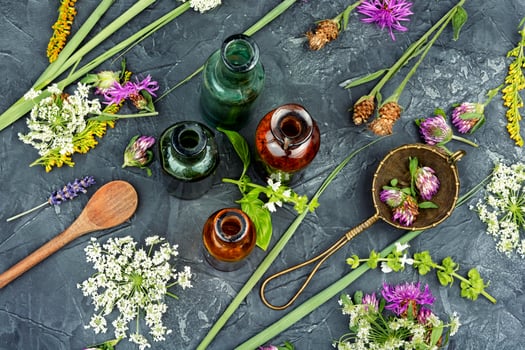 Bottles of tincture, medicinal herbs photo