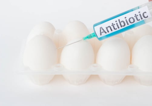 Chicken eggs on a white background in which from a syringe to an antibiotic, close-up, antibiotic photo