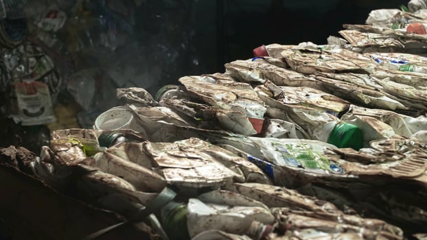 flies fly over household waste, environmental pollution, sanitary photo