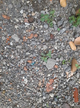 a surface covered with small rocks, gravel, and scattered pieces of debris, such as bits of brick or concrete. photo