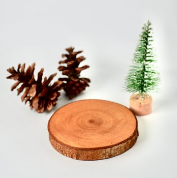 Small miniature green Christmas tree, pine cone, and empty copy spaced wooden coaster objects isolated on white background. photo