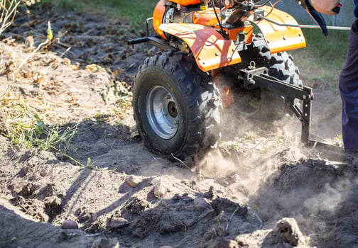 A summer resident plows a garden with potatoes with a walk-behind tractor in the fall during the harvest. Copy space for text photo