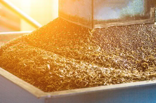Production of rapeseed oil, processing of oilseed rapeseed, supply of rapeseed oil seeds to the cold pressing press, close-up, industry, sun, biodiesel production photo