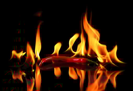 A red chili pepper is on fire with flames photo