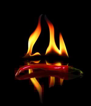 Hot pepper with flame on black background photo
