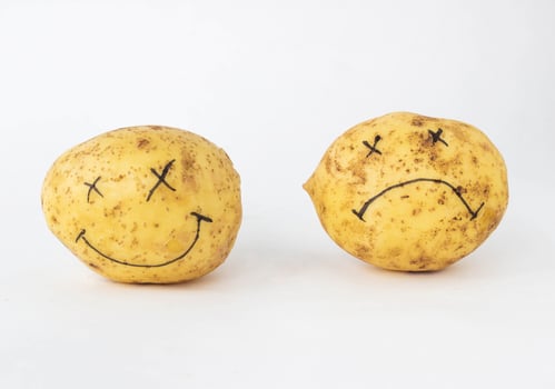 Potatoes on a white background with a cheerless and contented face with no gmo and nitrates and with nitrates, close-up, genetically modified organism, pratie photo