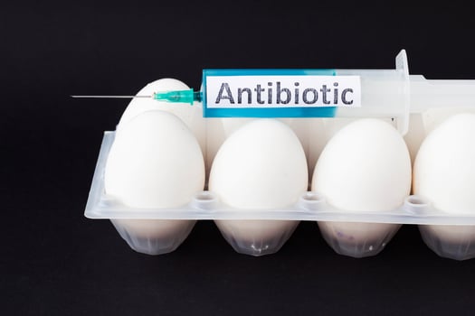Chicken eggs in a tray on a black background on which lies a syringe with an antibiotic label, close-up, black background photo