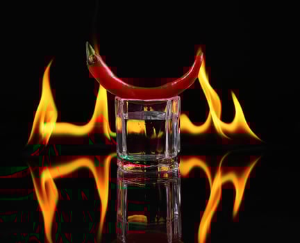 Hot chili pepper in a shot glass with a fire on a black background photo