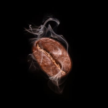 Flying coffee bean in smoke over dark photo