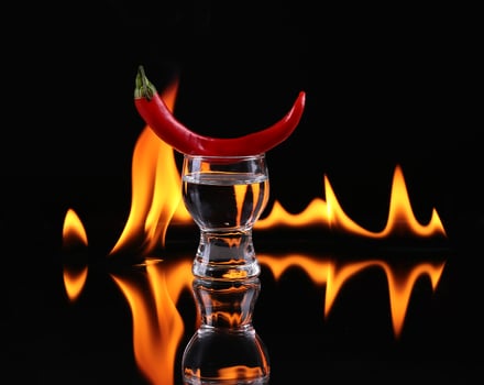 Hot chili pepper in a shot glass with a fire on a black background photo