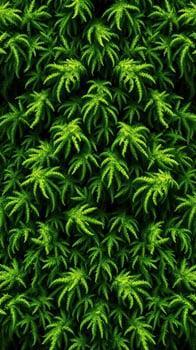 A green plant background with many leaves photo