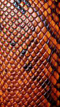 A close up of a snake skin photo