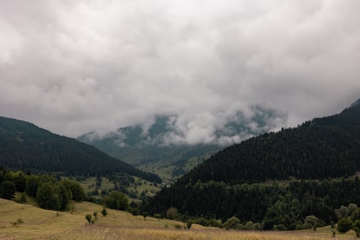 Misty forest covered mountains in the summer. Moody landscape photo