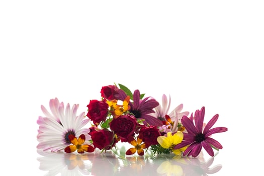 small bouquet of small multi-colored summer flowers photo
