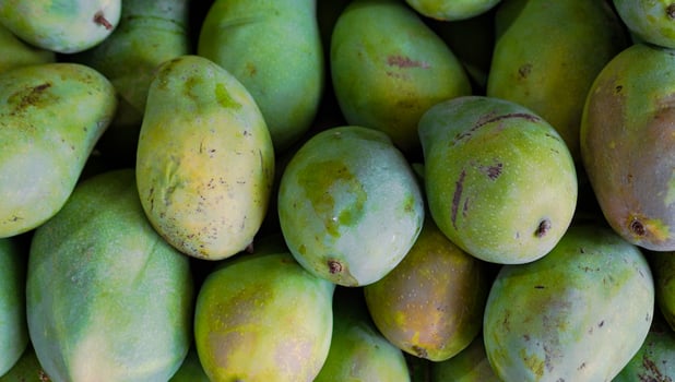 Fresh mango tropical fruit background seen from above for sale at the market Free Photo