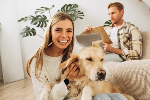 Smiling woman petting dog, golden retriever man, freelancer using laptop photo