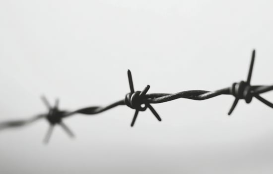 Close up view of barbed wire against a blurred background highlighting boundaries and barriers photo