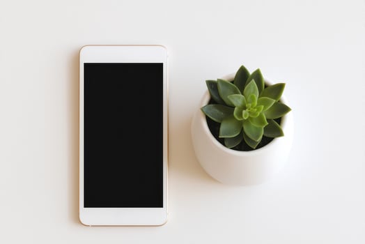 A smartphone next to a succulent plant on a clean white table surface. photo