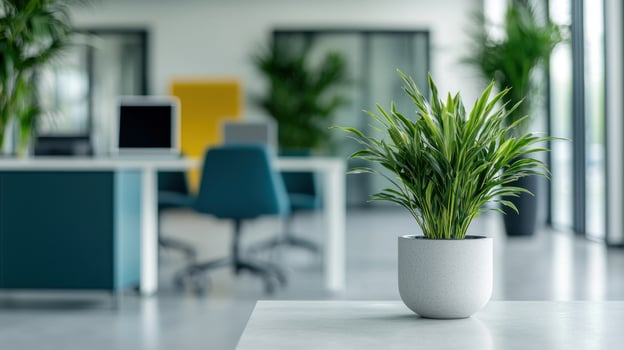 A vibrant indoor plant in a modern office setting, enhancing the workspace ambiance. photo