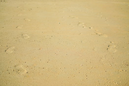 a yellow sand desert near Larnaca, Cyprus photo