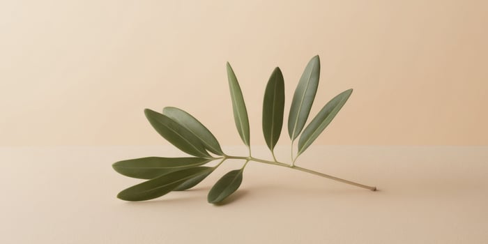 Olive branch with green leaves on a beige background featuring ample copy space. photo