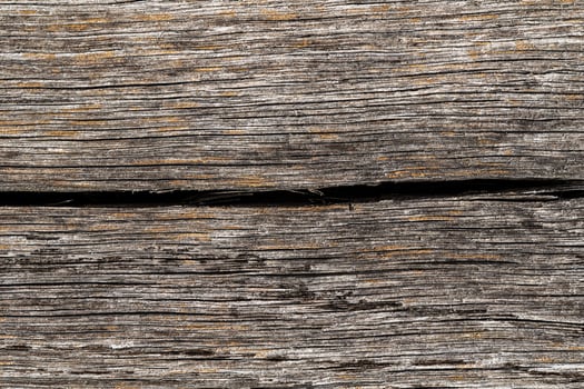Wood abstract texture. Surface grunge backdrop. Dirty wooden effect pattern. Material background. photo
