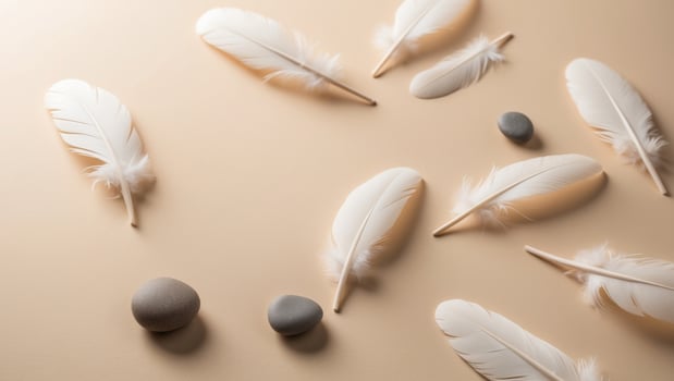 Beige Background with White Feathers and Stones. photo