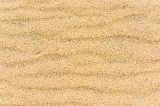 Top view of a sand sea bottom photo