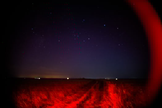 Red grass field under a breathtaking starry sky backdrop photo