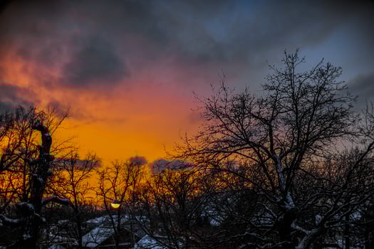 A sunset with trees in front and a statue in the back photo