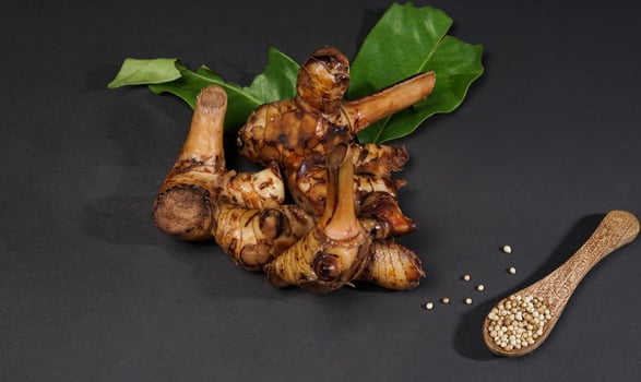 Fresh galangal root isolated on black background. Galangal root are used in tradtional asian cuisines. photo