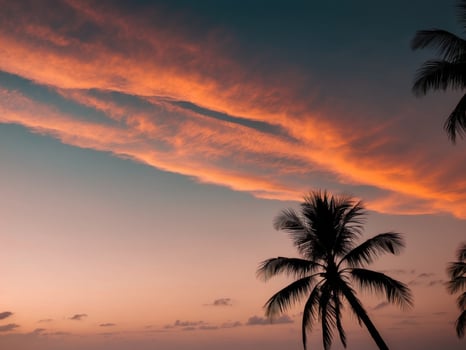 Tropical Evening Sunset with Orange and Pink Sky. photo