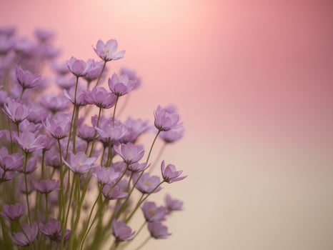 Purple flowers are in a vase against a pink background photo
