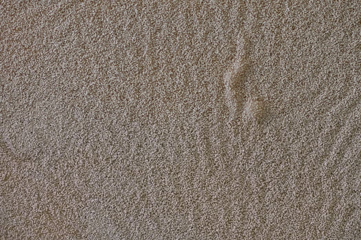 Yeast grains poured into water for making dough. photo